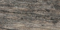 cracked/chipped     weathered natural tree/plant dark brown