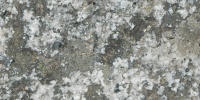 igneous spots natural stone gray     