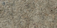 random natural earth tan/beige floor 