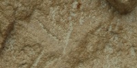 cracked/chipped natural   stone dark brown