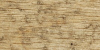 plywood cracked/chipped dirty weathered industrial wood tan/beige    