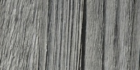vertical weathered bleached marine wood gray