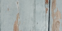 gray paint wood architectural bleached weathered cracked/chipped vertical fence boards