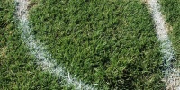 floor curves sports/rec grass green